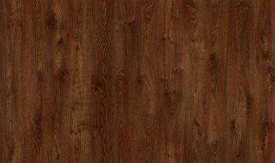 ������� Westerhof �������� AGT (PRK905)