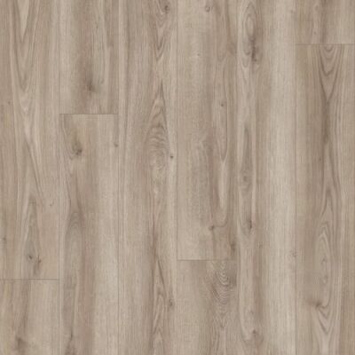 ������� Kaindl K2240 ��� Moderno