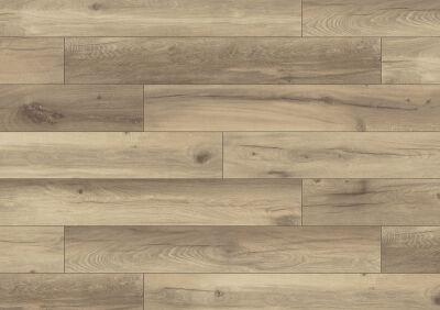������� Binyl PRO 1538 ��� ������