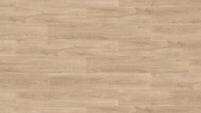 ������� Tarkett FUNKY HOUSE Jade 277021009