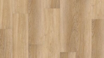 ������� Tarkett ROCKSTARS Viktor 257032004