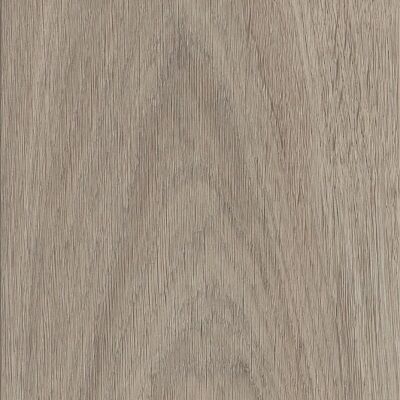 ���������� (SPC, ���) DB Invictus MaximusPlank Highland Oak Canyon