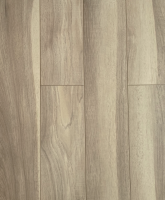 ������� Biela 735-10 ��� ������