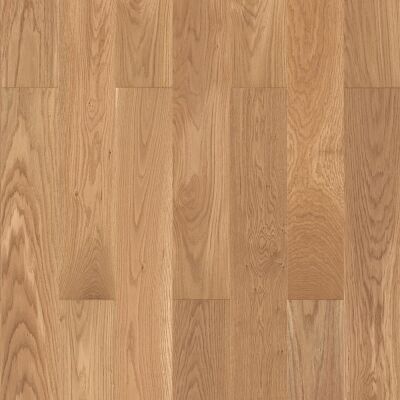 ������� Tarkett Tango Classic ��� �������