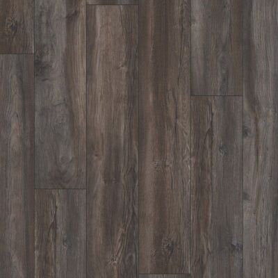 ������� Kronotex Robusto D3570 ��� ��������