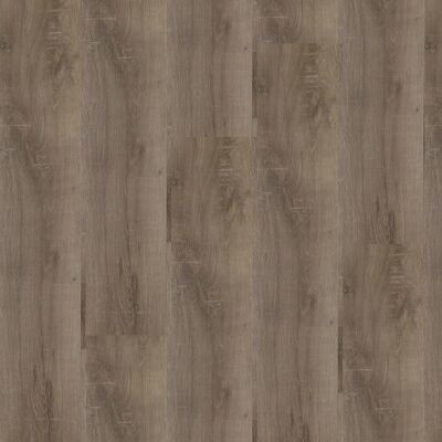 ������� Palitra Dali Oak Goyder