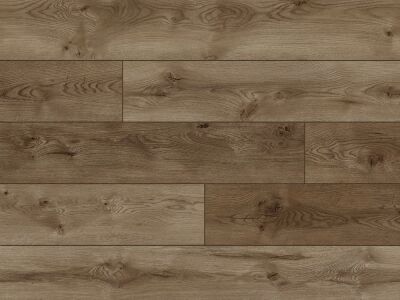 ������� Palitra Gustav Klimt Oak Erie
