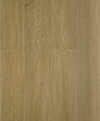������� Biela 728-10 ��� �������