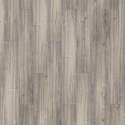 ������� Tarkett Robinson Premium ������ ��������
