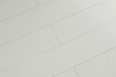 ������� Biela 719-10 ��� �����