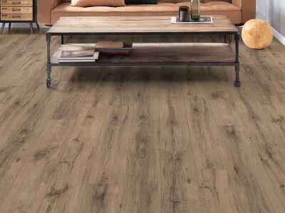 ������� Egger EPL019 ��� ��������� �����