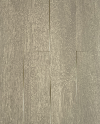 ������� Biela 729-10 ��� �����