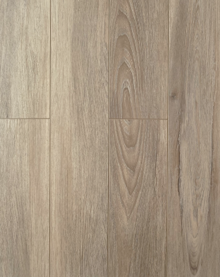 ������� Biela 734-10 ��� �����