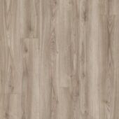 ������� Kaindl K2240 ��� Moderno