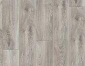 ������� My Floor ��� ������ ����������� ML1013