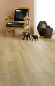 ������� Alsafloor �����