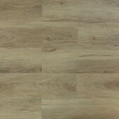 ���������� (SPC, ���) Art East ATF 256, ������ ��������
