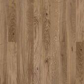 ������� Tarkett Rumba ��� ������