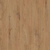 ������� Kronotex D4715 ������ �����