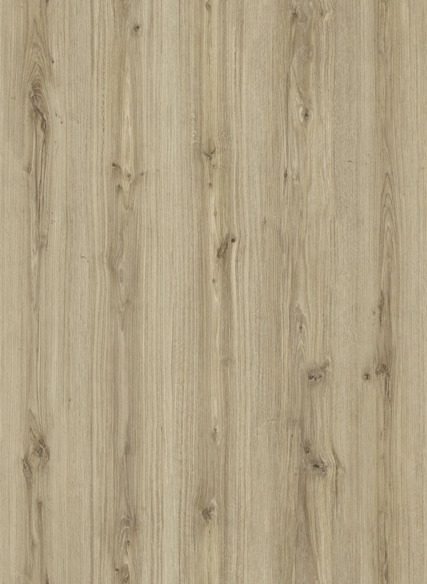 Ламинат Kronostar D1845 Дуб Глориус