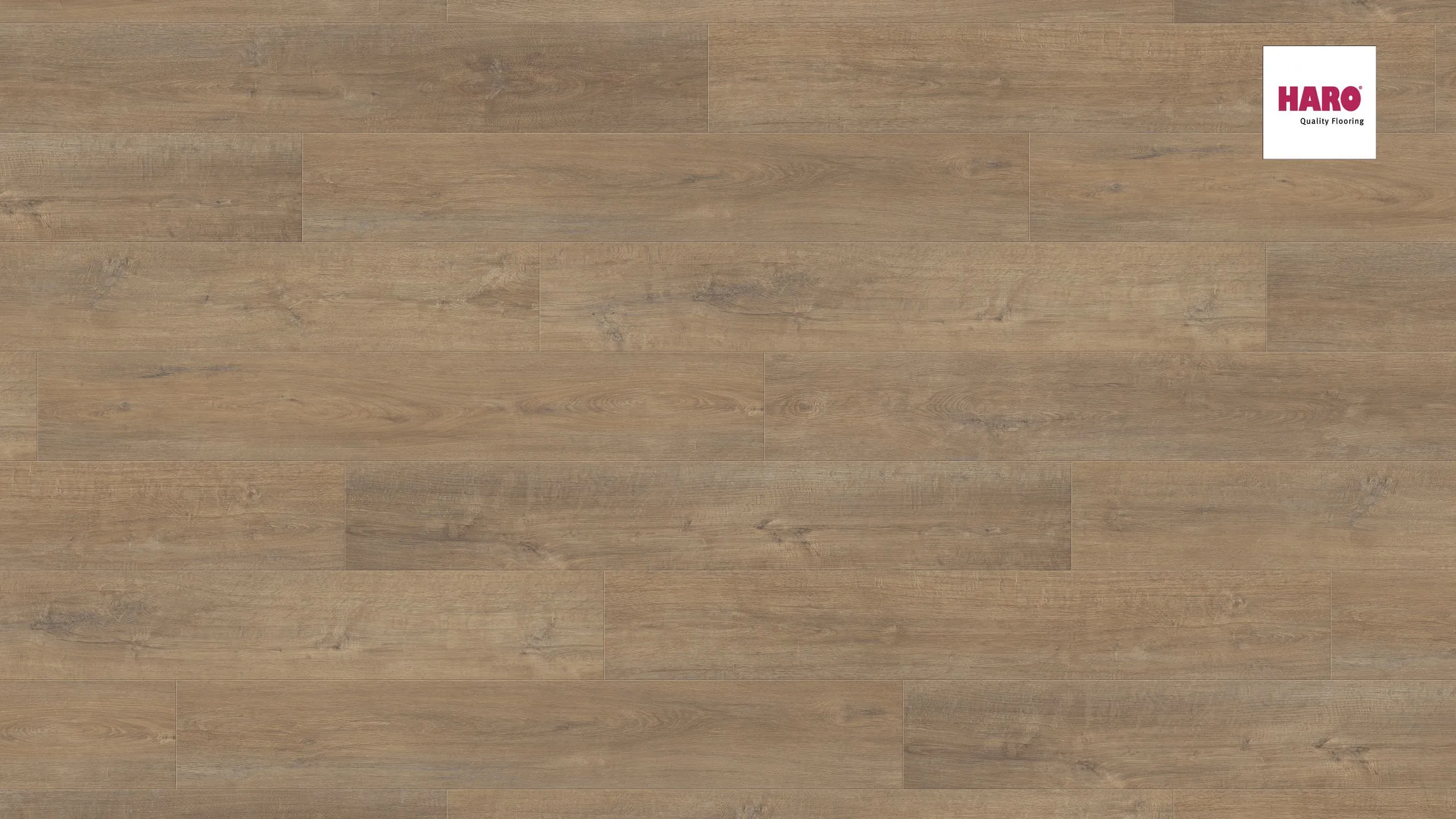 Ламинат Haro 538650 Дуб Ливорно Дымчатый