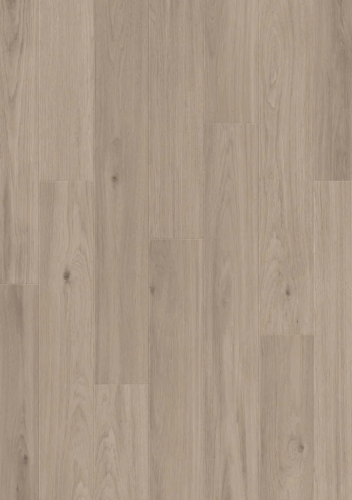Ламинат Balterio Дуб пепельный