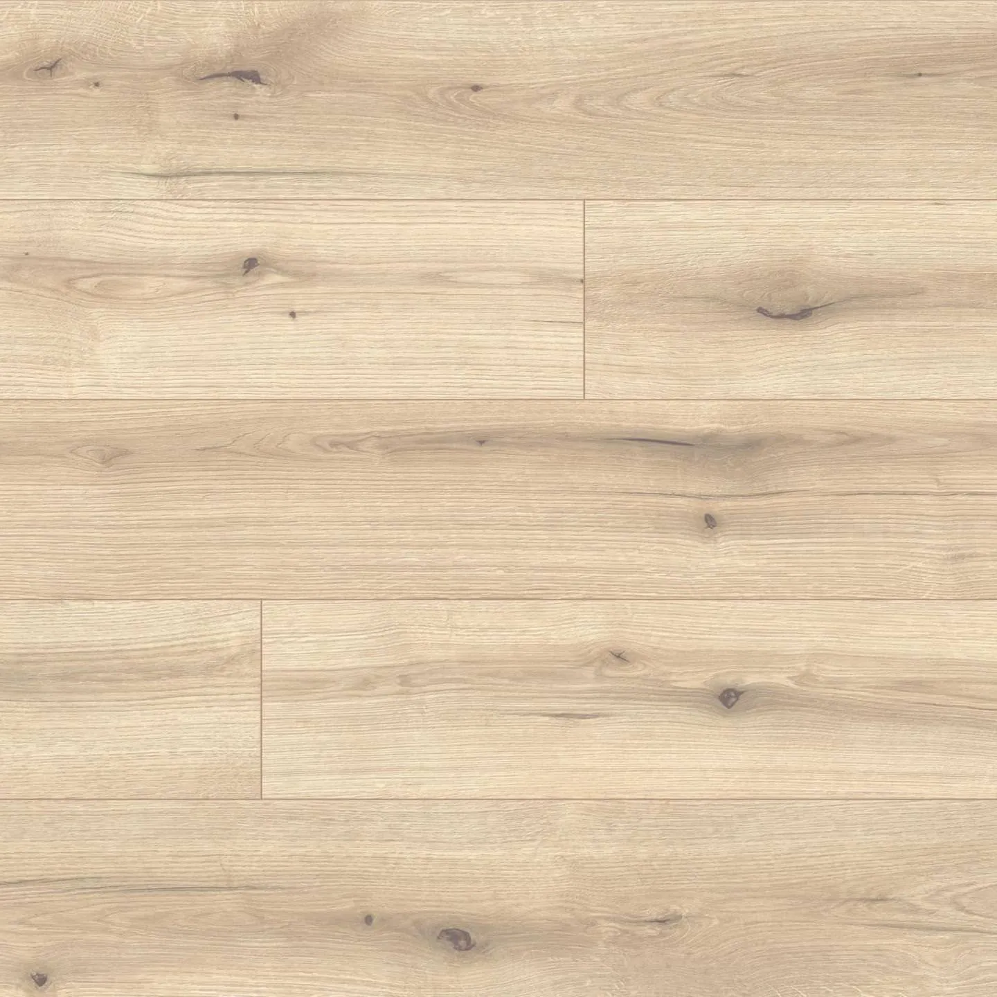 Ламинат Kaindl K2205 Oak Evoke Vanilla