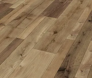 Ламинат Kaindl К4362 RF Дуб Элеганс